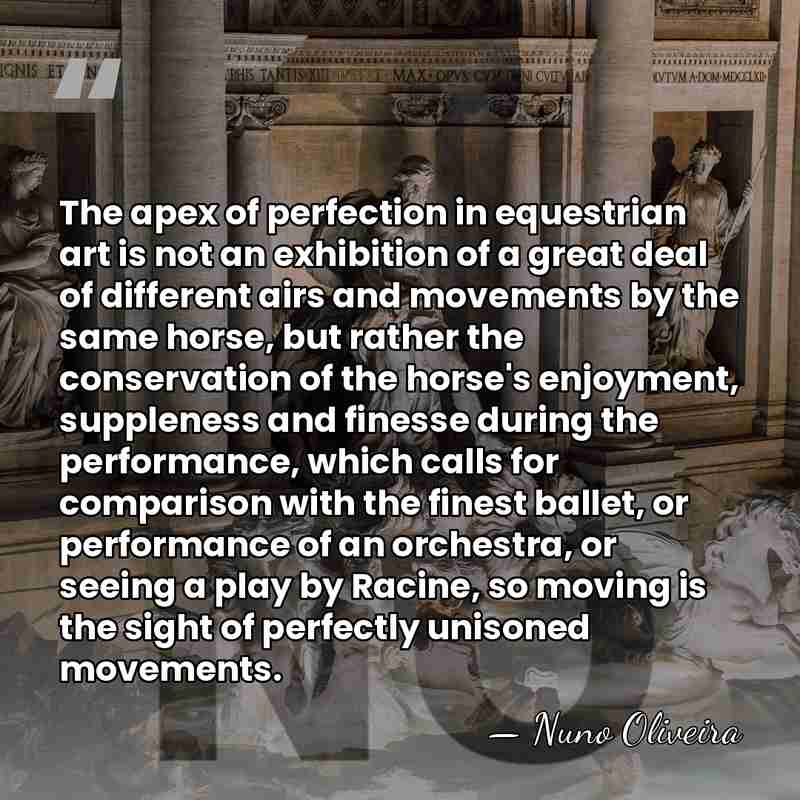 The apex of perfection in equestrian art is not an exhibition of&hellip; - Nuno Oliveira