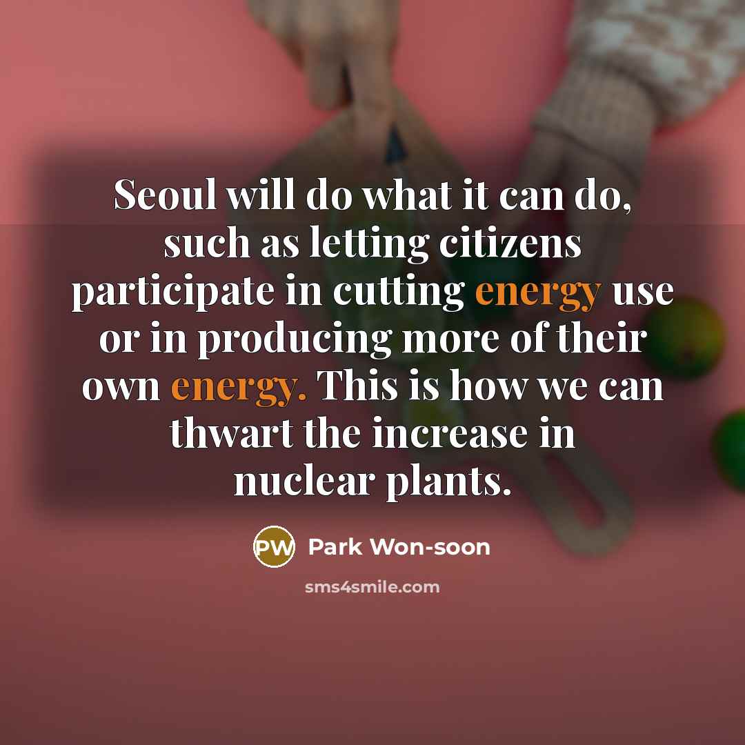 “Seoul will do what it can do, such as letting…” quote by Park Won-soon