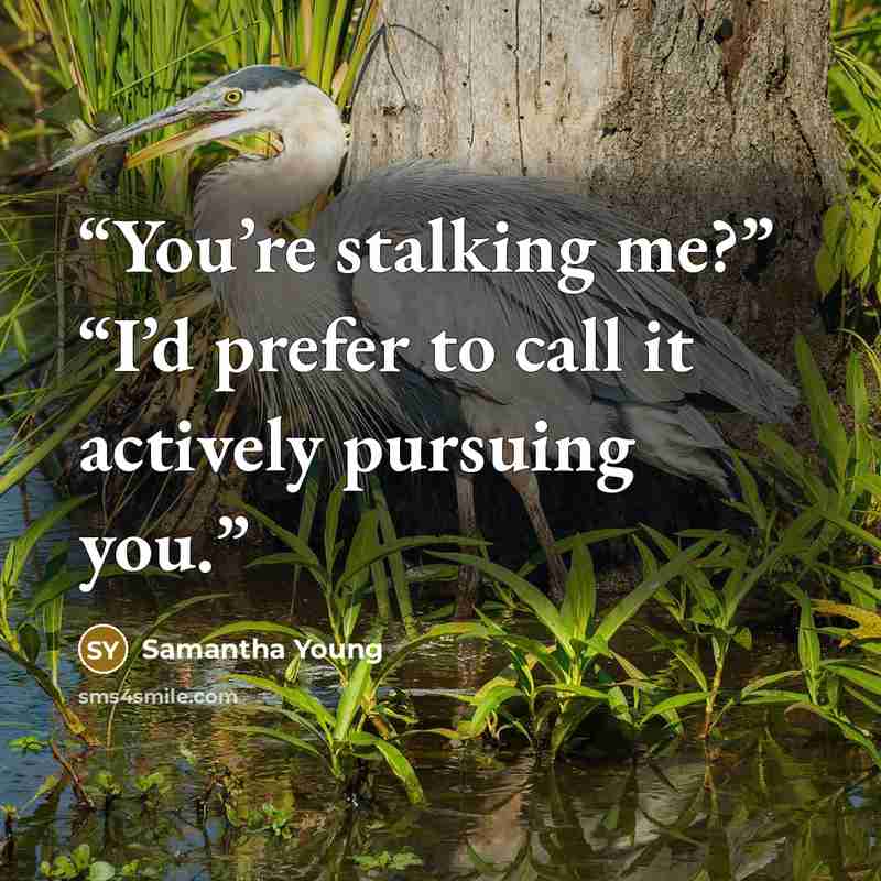 “You’re stalking me?” “I’d prefer to call it actively pursuing you.” quote by Samantha Young