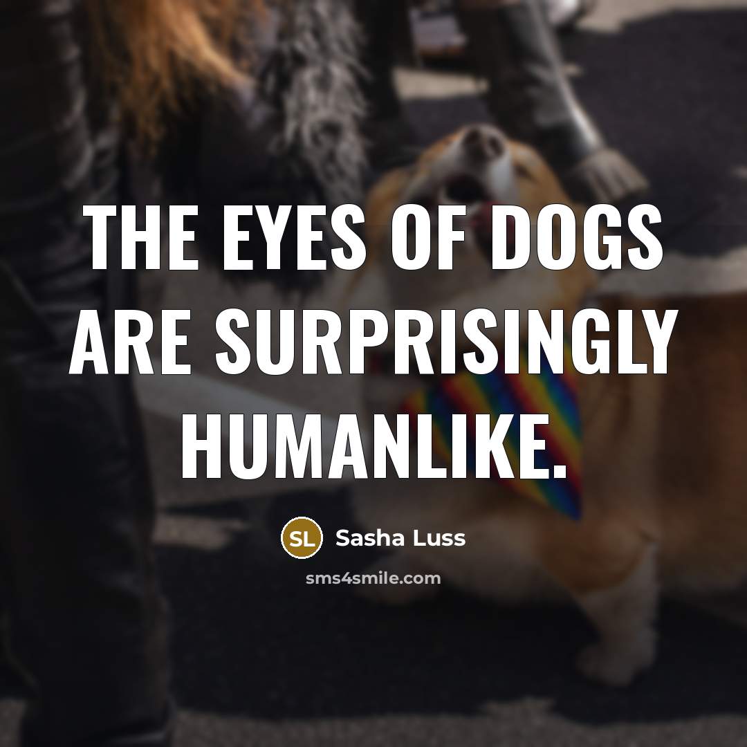 “The eyes of dogs are surprisingly humanlike.…” quote by Sasha Luss