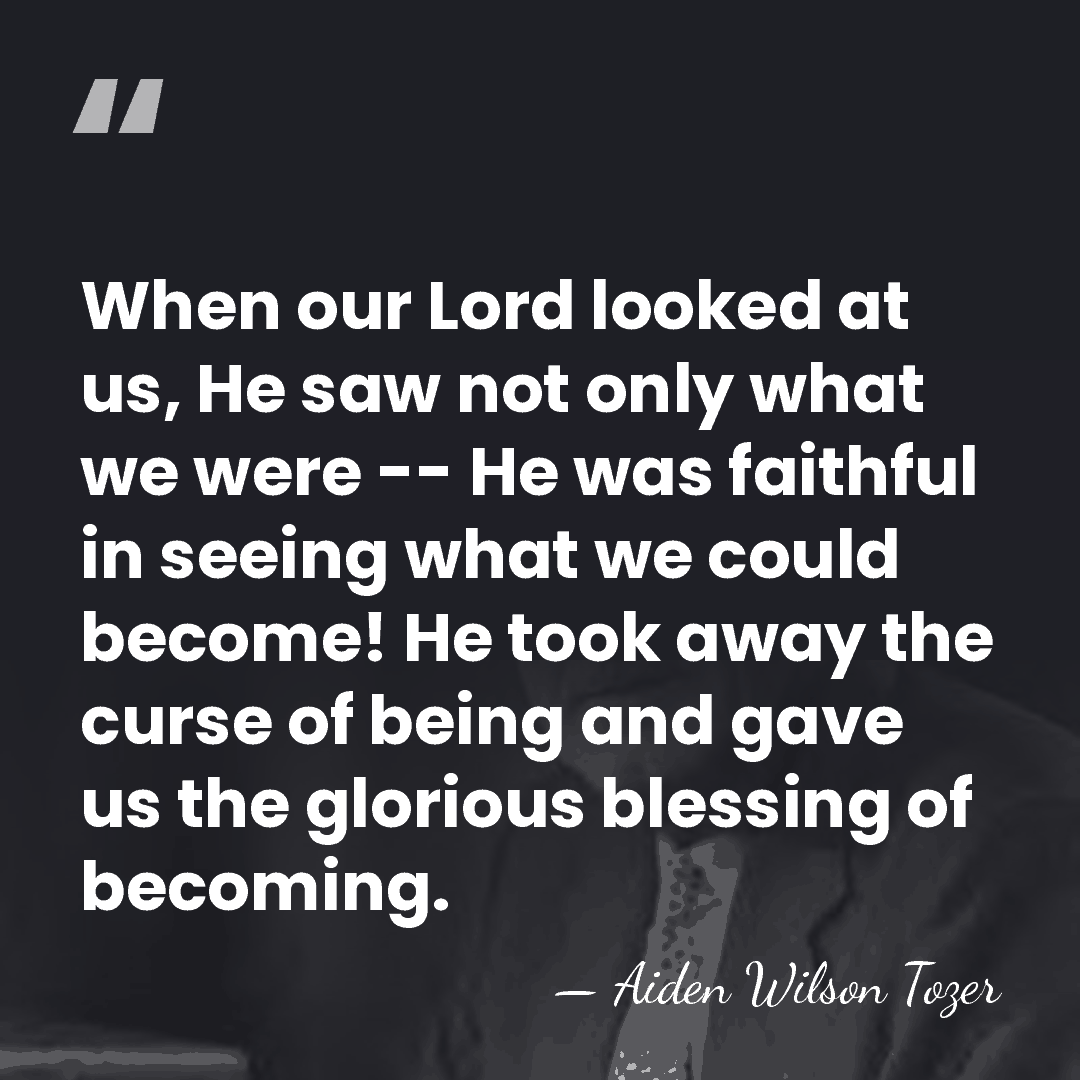 When our Lord looked at us, He saw not only what we&hellip; - Aiden Wilson Tozer