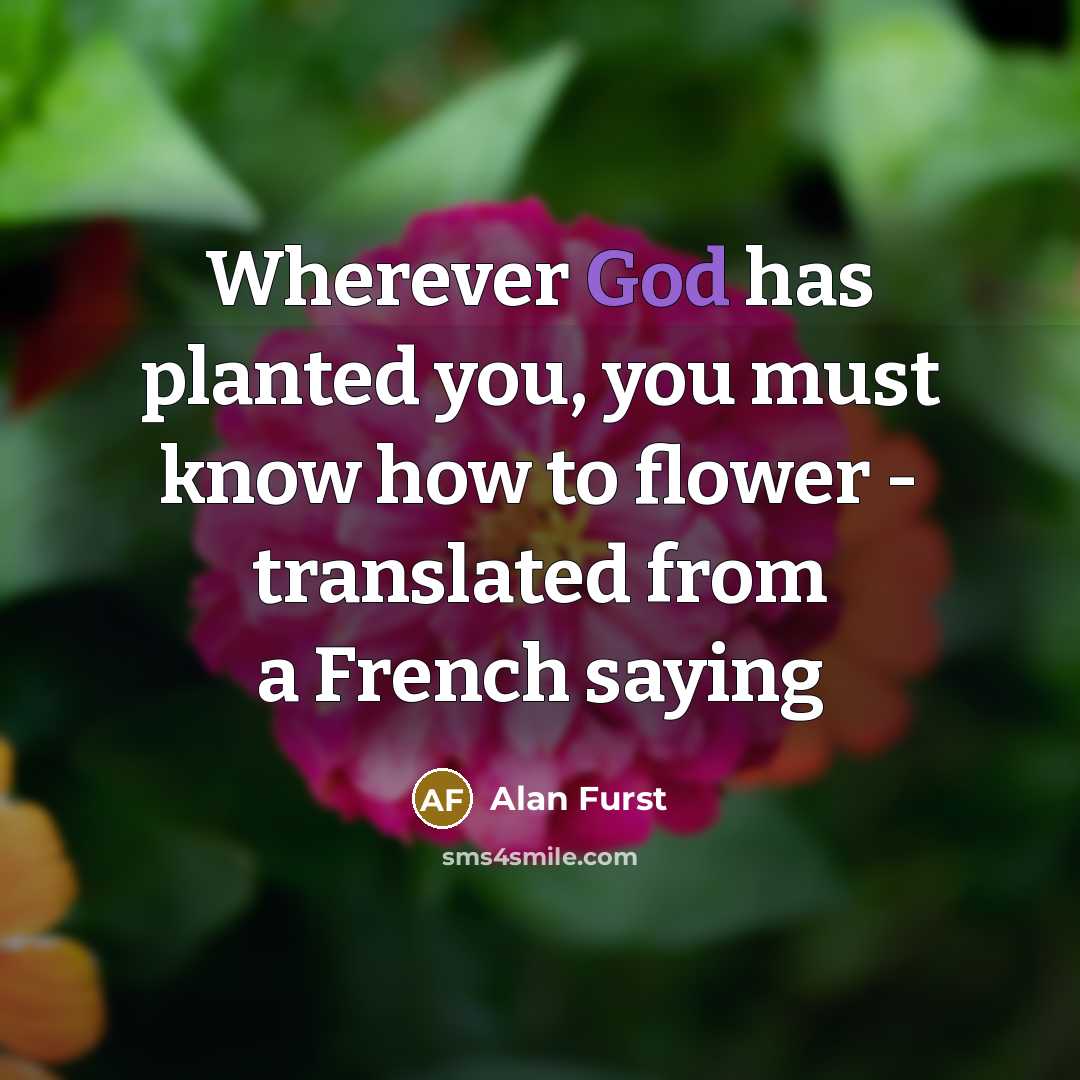 “Wherever God has planted you, you must know how to…” quote by Alan Furst