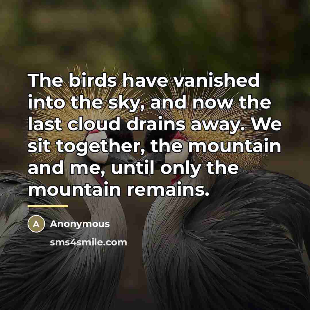 “The birds have vanished into the sky, and now the…” quote by Anonymous