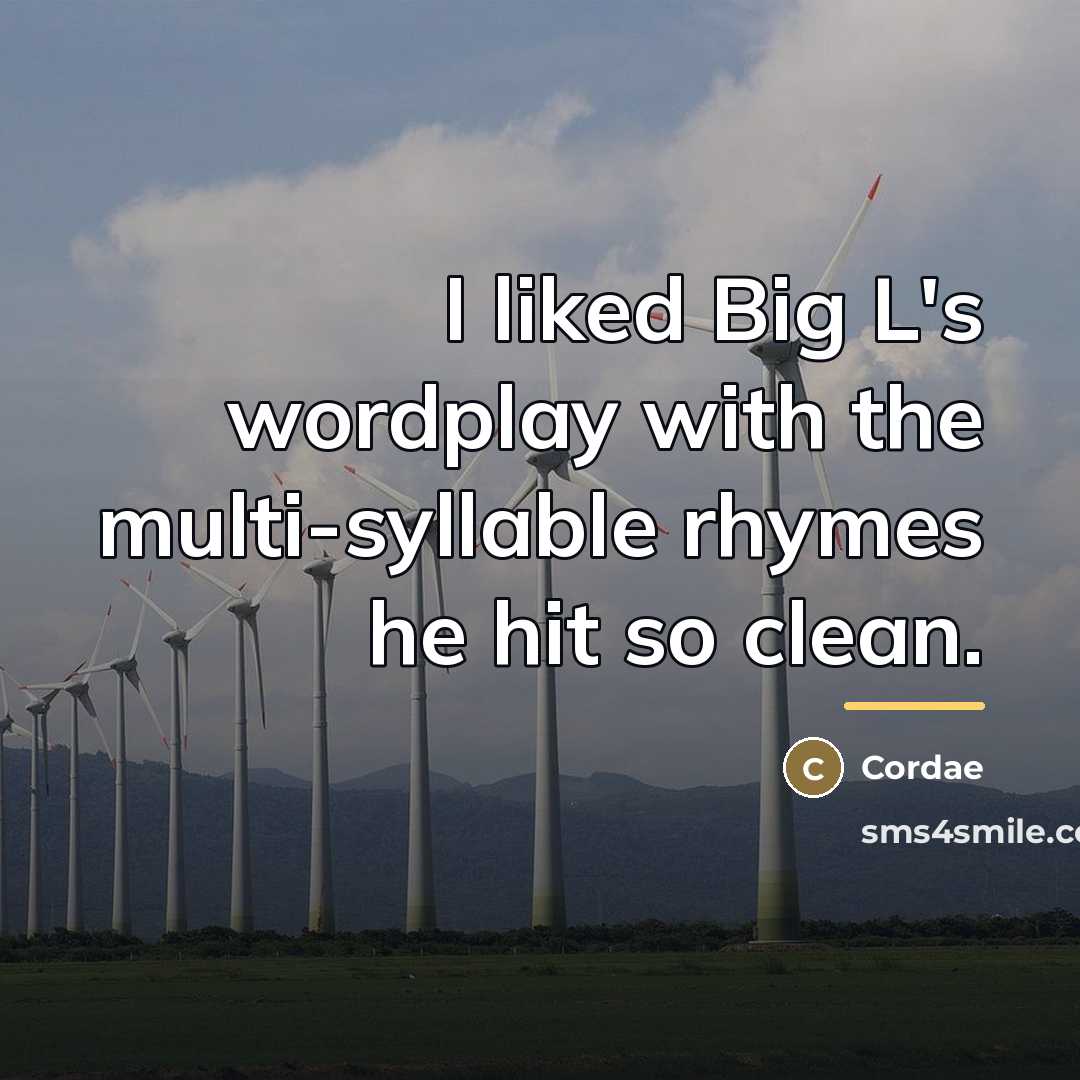“I liked Big L's wordplay with the multi-syllable rhymes he…” quote by Cordae