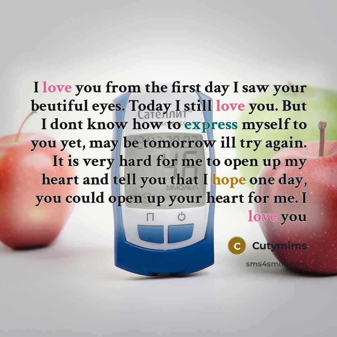 “I love you from the first day I saw your beutiful eyes. Today I still love you. But I dont know how to express myself to you yet, may be tomorrow ill try again. It is very hard for me to open up my heart and tell you that I hope one day, you could open up your heart for me. I love you” quote by Cutymims