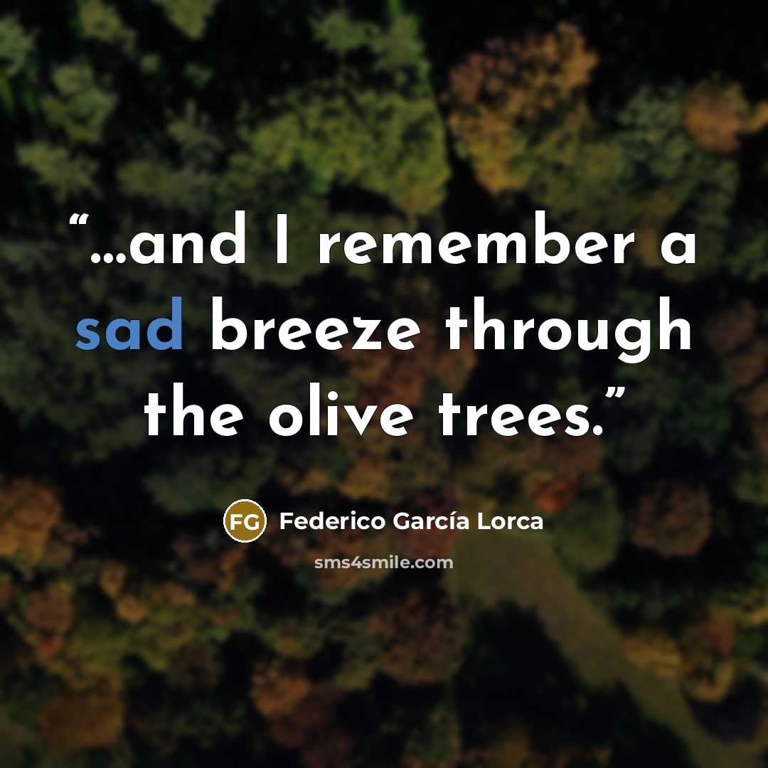 “…and I remember a sad breeze through the olive trees.” quote by Federico García Lorca