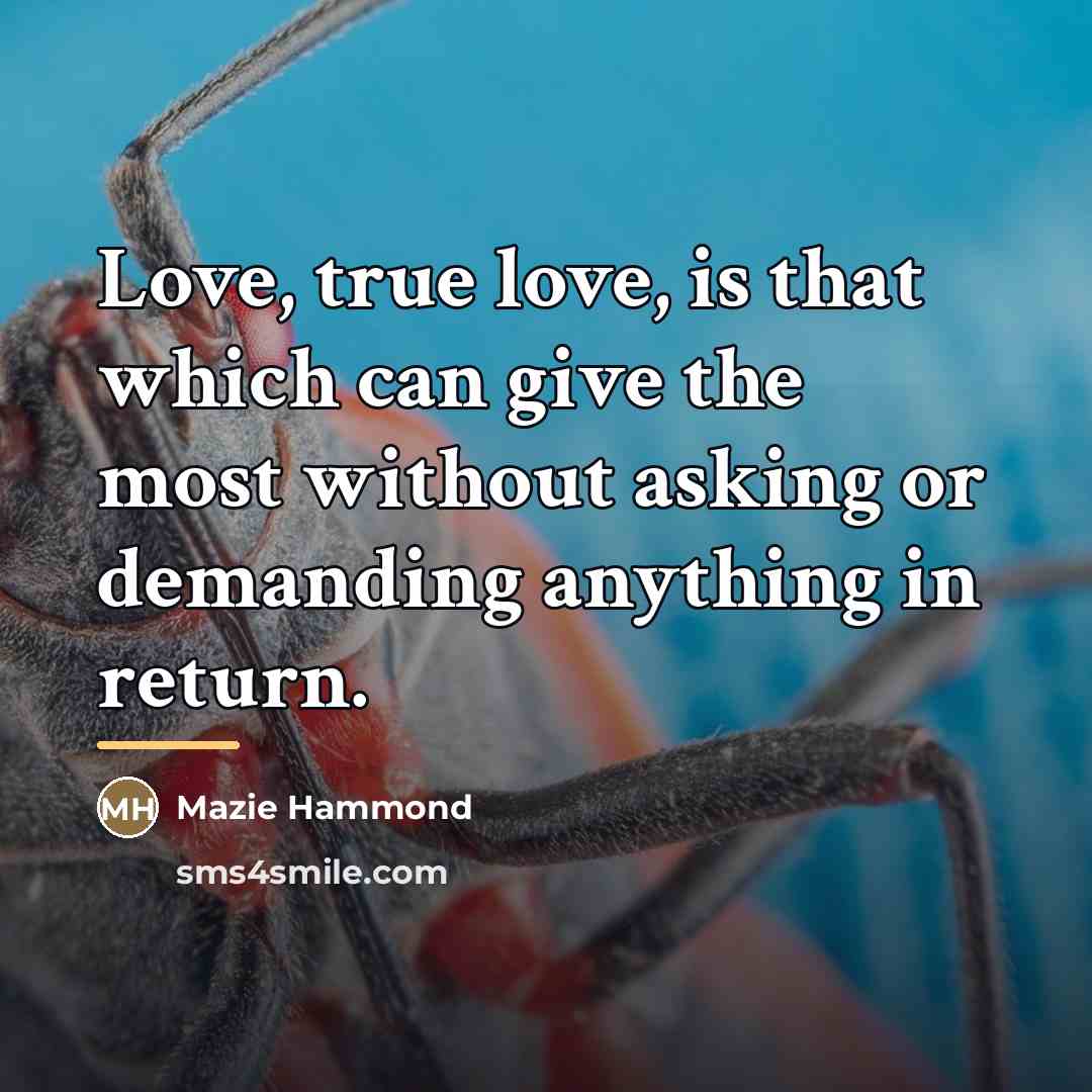 “Love, true love, is that which can give the most…” quote by Mazie Hammond