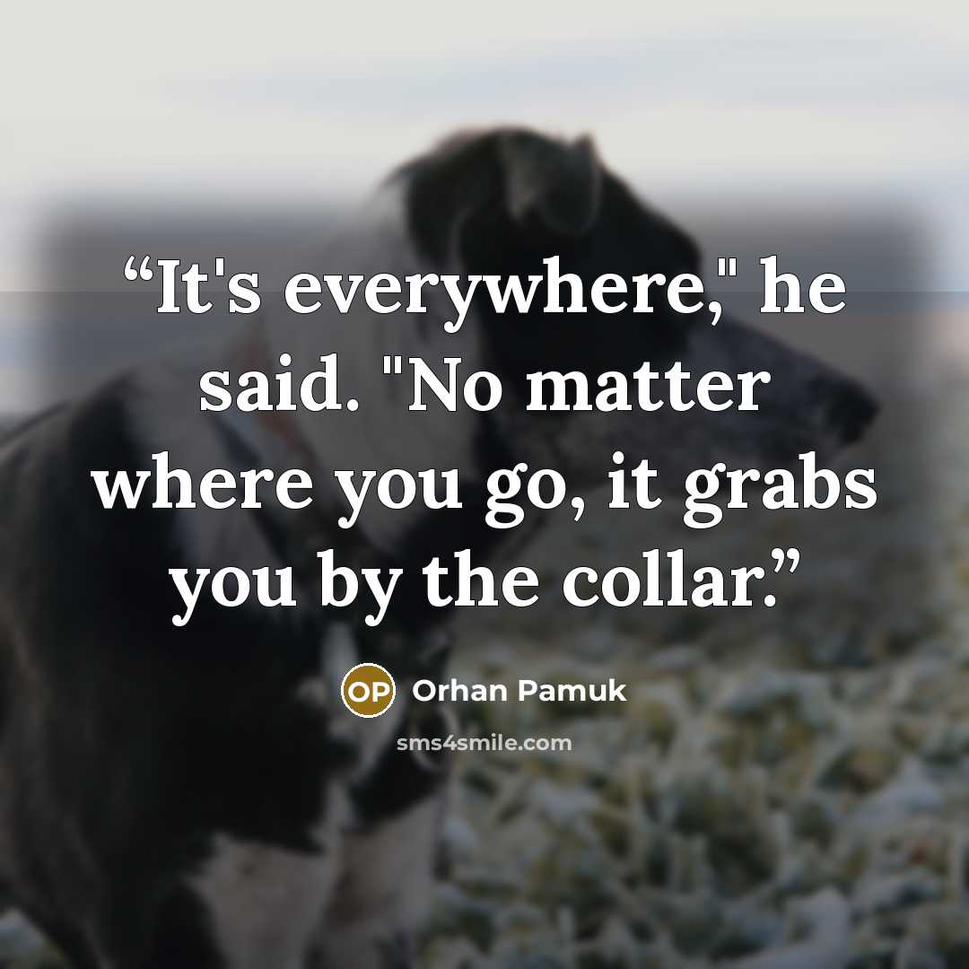 “It's everywhere," he said. "No matter where you go, it grabs you by the collar.” quote by Orhan Pamuk