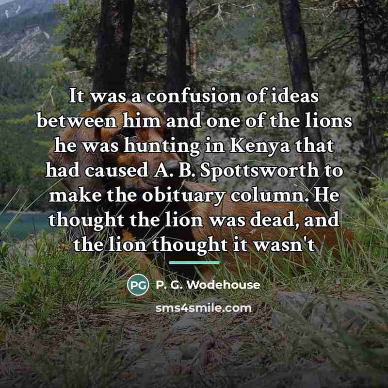 “It was a confusion of ideas between him and one…” quote by P. G. Wodehouse