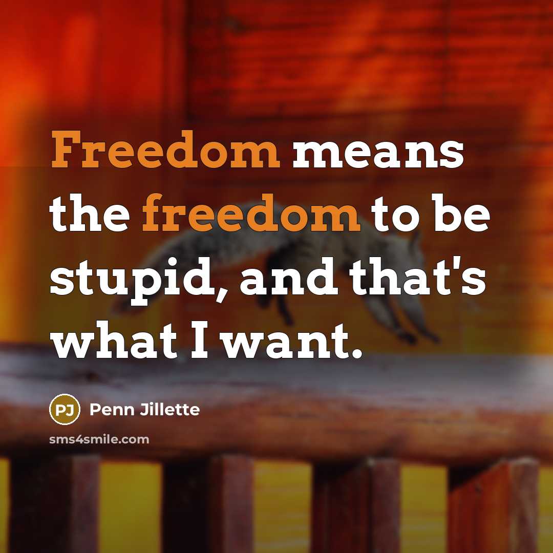 “Freedom means the freedom to be stupid, and that's what…” quote by Penn Jillette