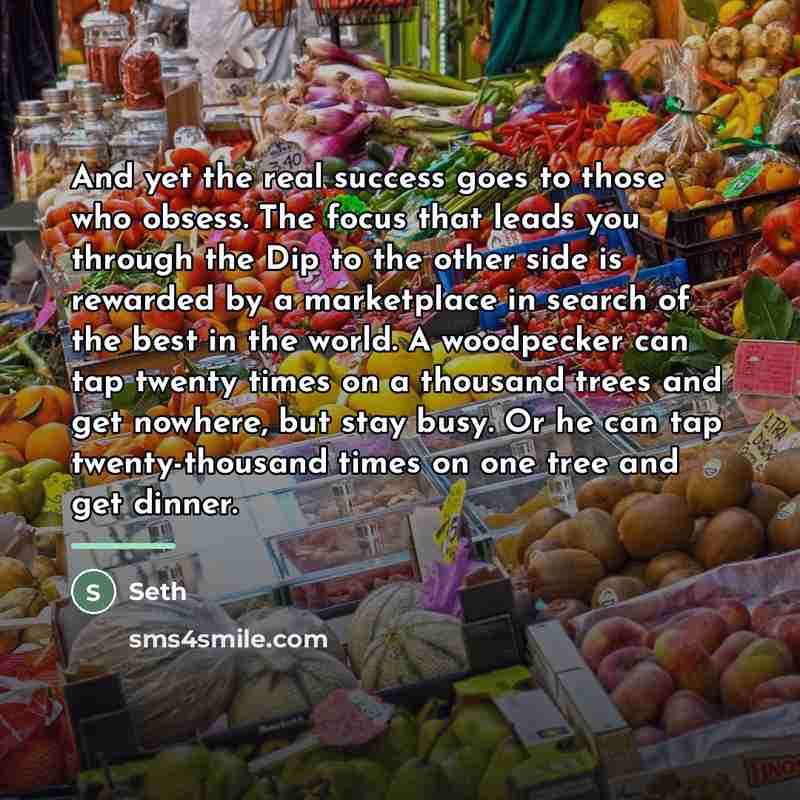 “And yet the real success goes to those who obsess.…” quote by Seth