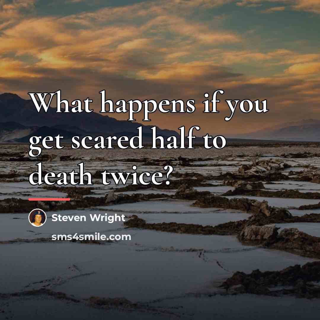 “What happens if you get scared half to death twice?…” quote by Steven Wright
