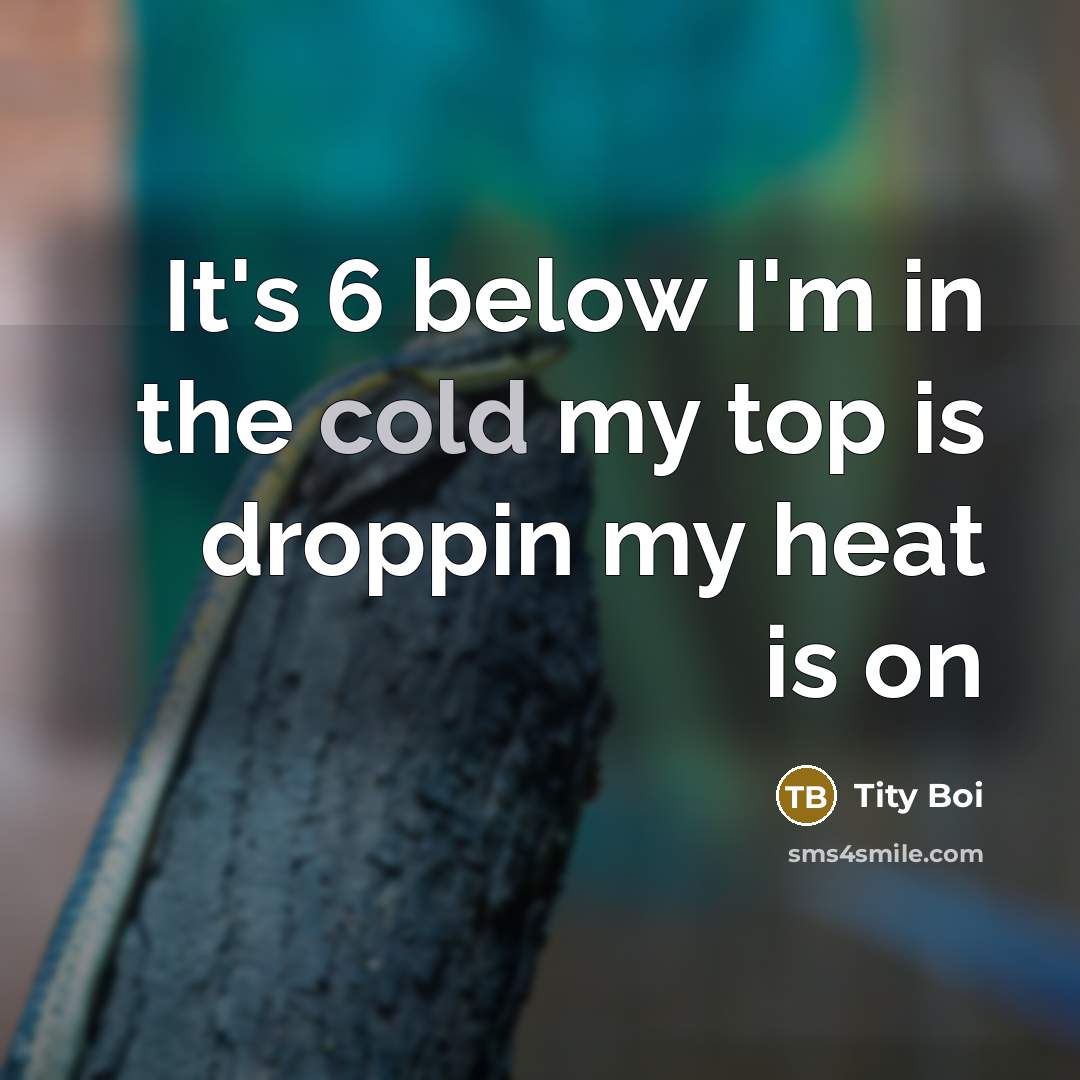 “It's 6 below I'm in the cold my top is…” quote by Tity Boi