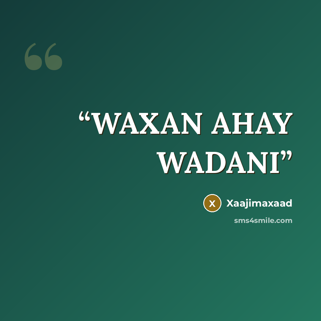 “WAXAN AHAY WADANI” quote by Xaajimaxaad