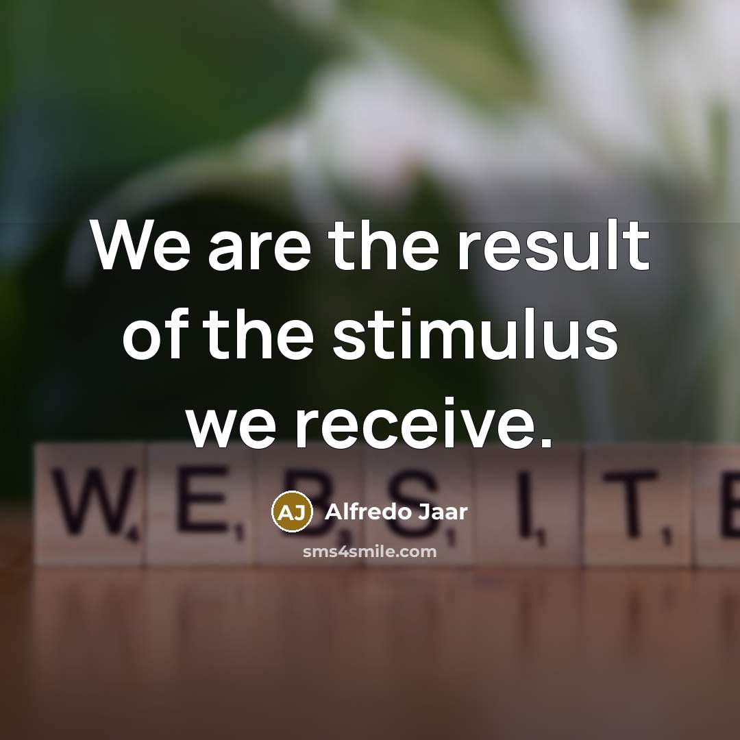 “We are the result of the stimulus we receive.…” quote by Alfredo Jaar