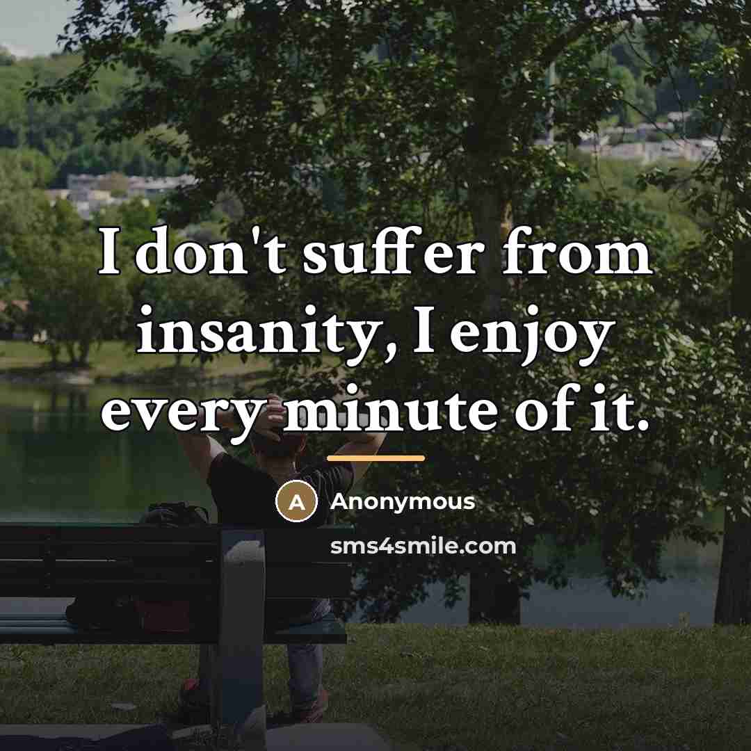 “I don't suffer from insanity, I enjoy every minute of…” quote by E.J. Rose