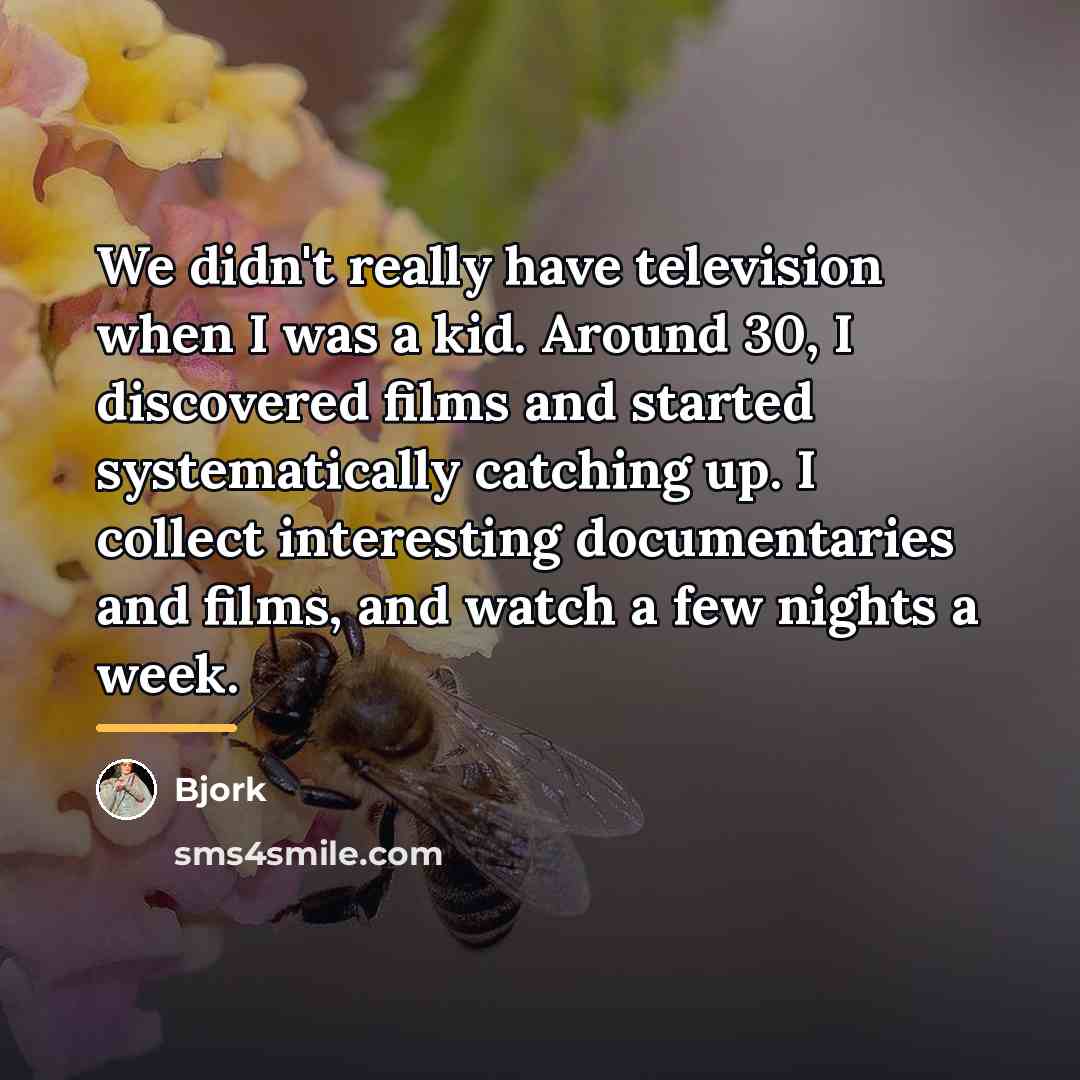 “We didn't really have television when I was a kid.…” quote by Bjork