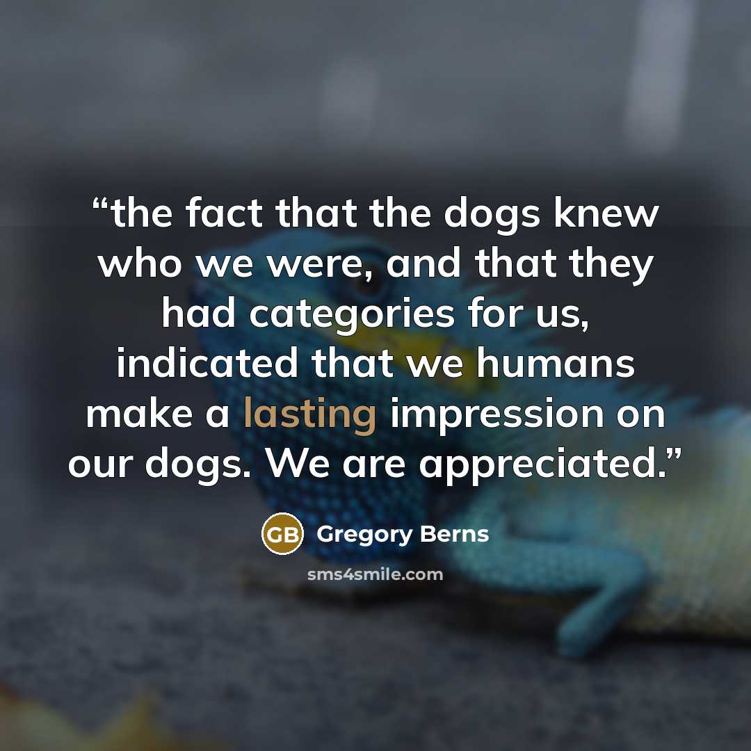 “the fact that the dogs knew who we were, and that they had categories for us, indicated that we humans make a lasting impression on our dogs. We are appreciated.” quote by Gregory Berns