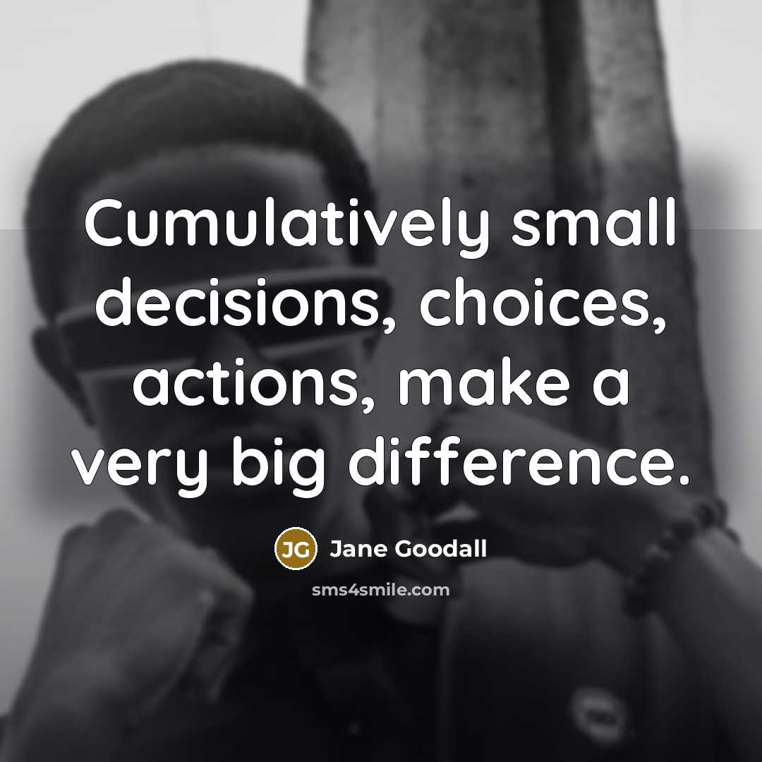 “Cumulatively small decisions, choices, actions, make a very big difference.…” quote by Jane Goodall