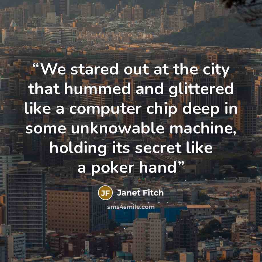 “We stared out at the city that hummed and glittered like a computer chip deep in some unknowable machine, holding its secret like a poker hand” quote by Janet Fitch