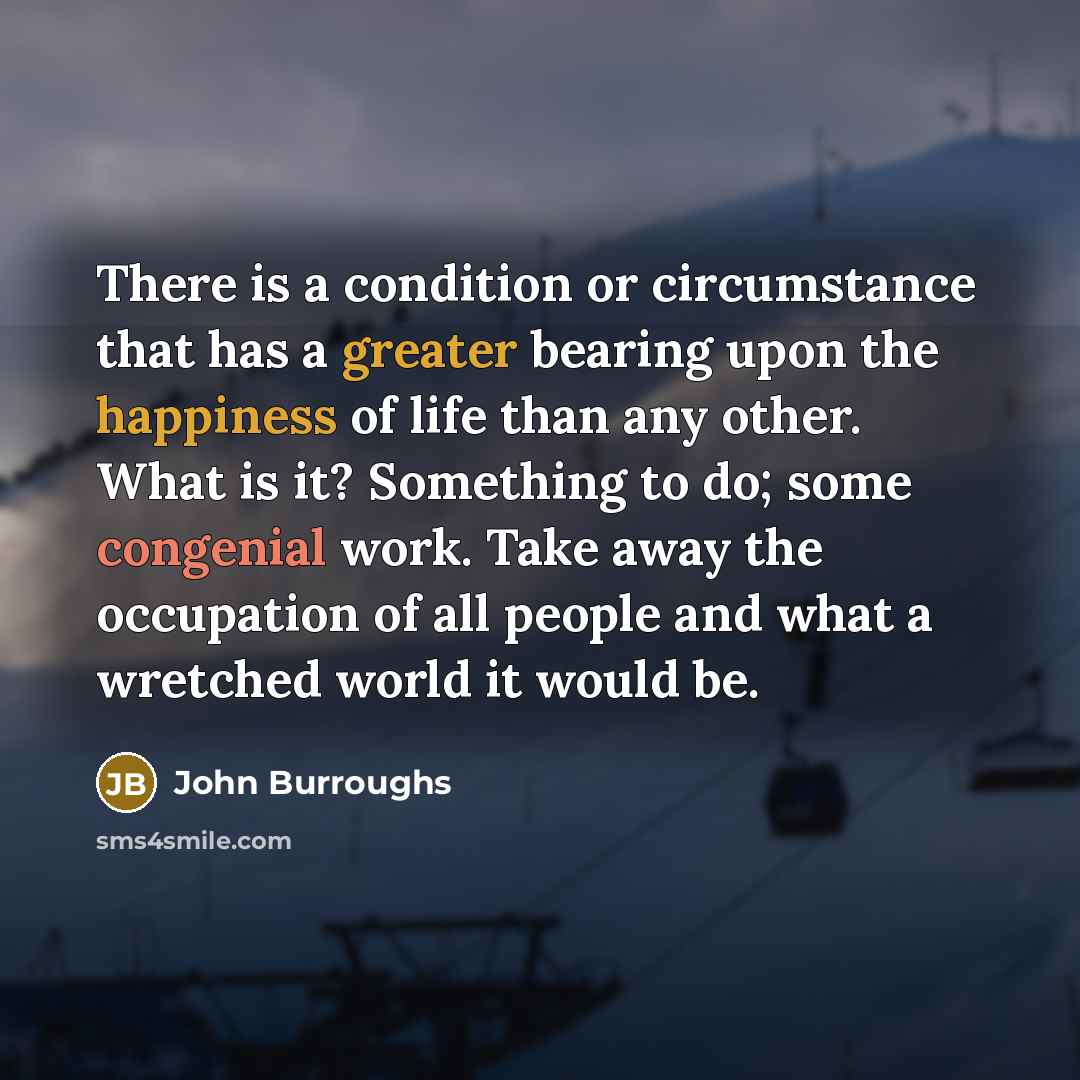“There is a condition or circumstance that has a greater bearing upon the happiness of life than any other. What is it? Something to do; some congenial work. Take away the occupation of all people and what a wretched world it would be.” quote by John Burroughs