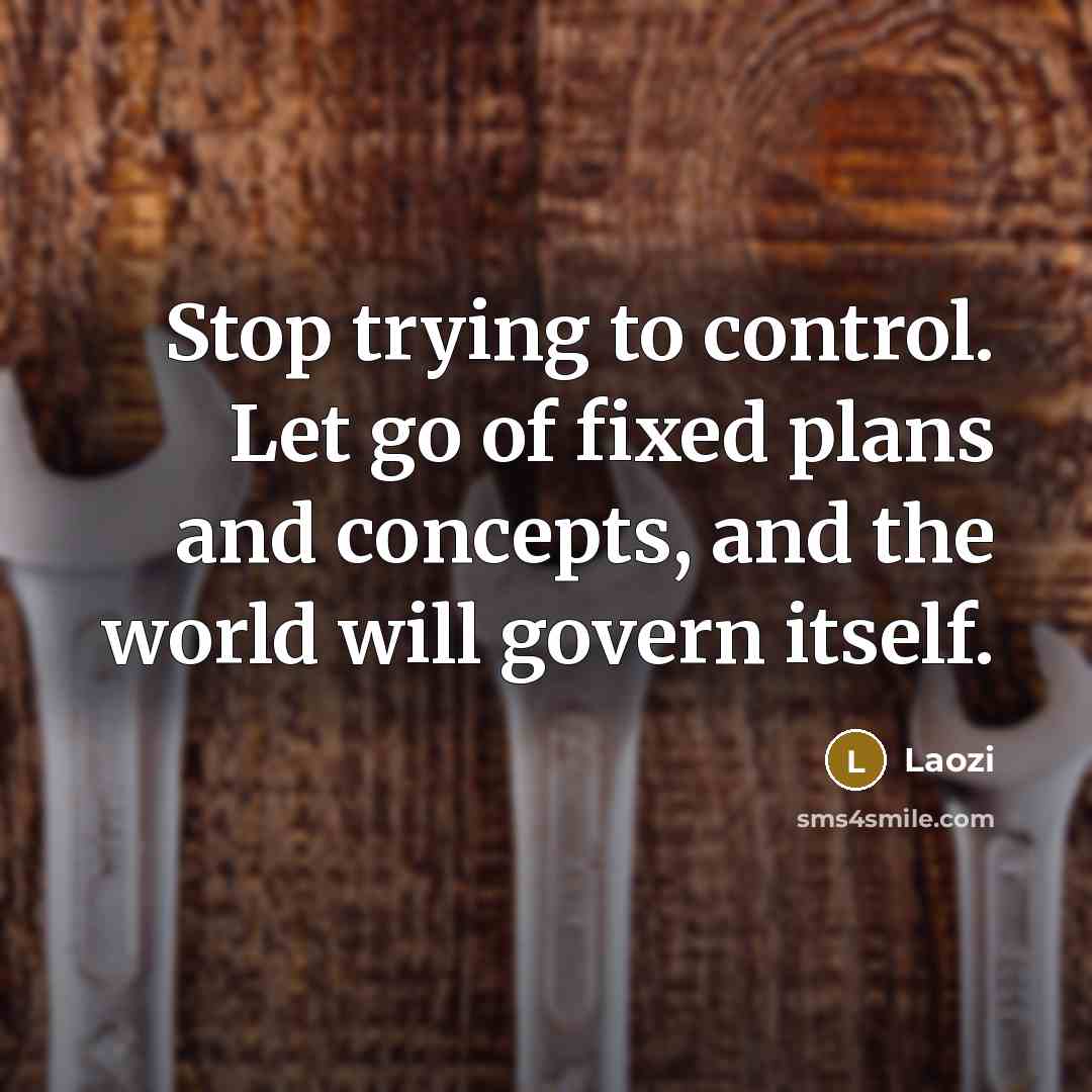 “Stop trying to control. Let go of fixed plans and…” quote by Laozi