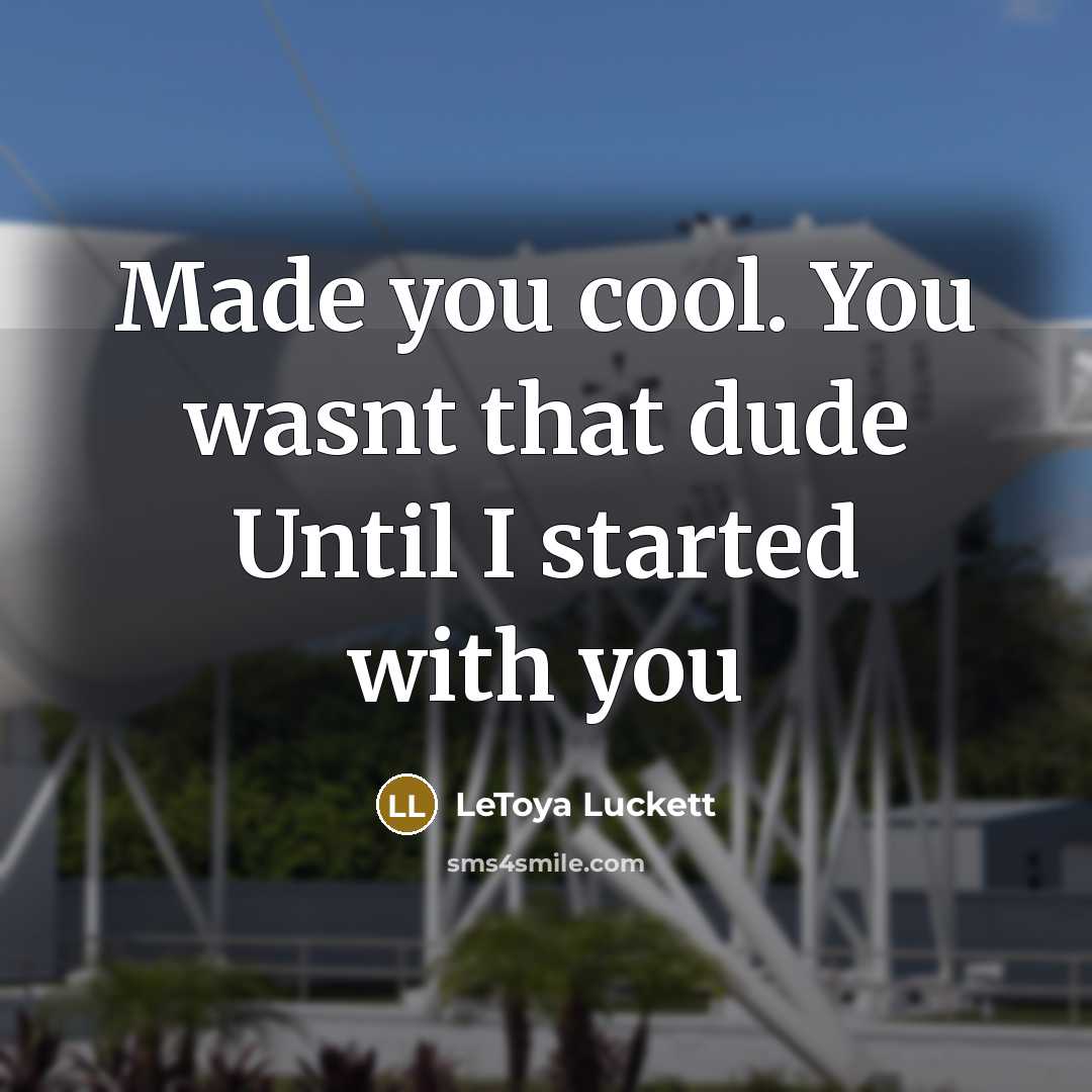“Made you cool. You wasnt that dude Until I started…” quote by Letoya Luckett