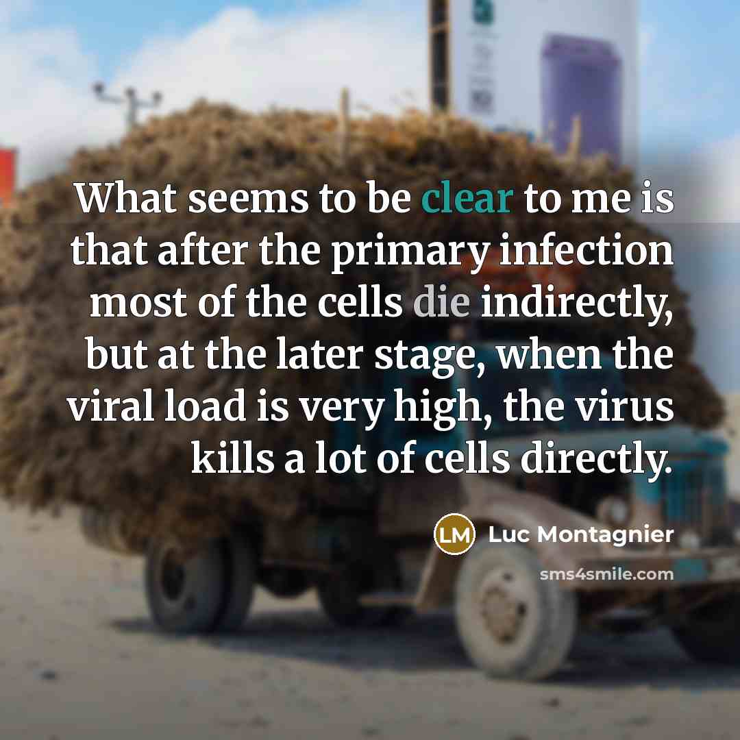 “What seems to be clear to me is that after…” quote by Luc Montagnier