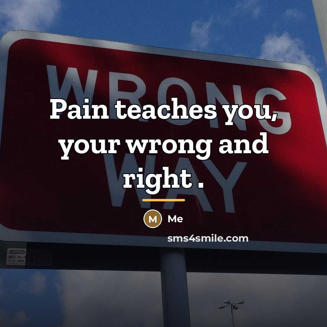 “Pain teaches you, your wrong and right .…” quote by Me