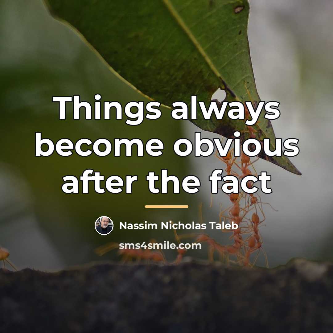 “Things always become obvious after the fact…” quote by Nassim Nicholas Taleb