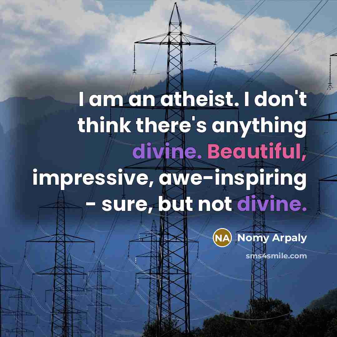 “I am an atheist. I don't think there's anything divine.…” quote by Nomy Arpaly