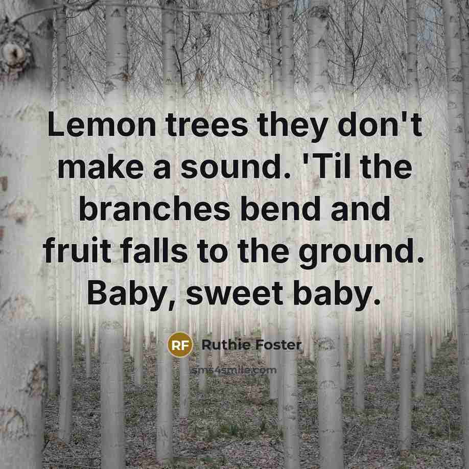 “Lemon trees they don't make a sound. 'Til the branches bend and fruit falls to the ground. Baby, sweet baby.” quote by Ruthie Foster