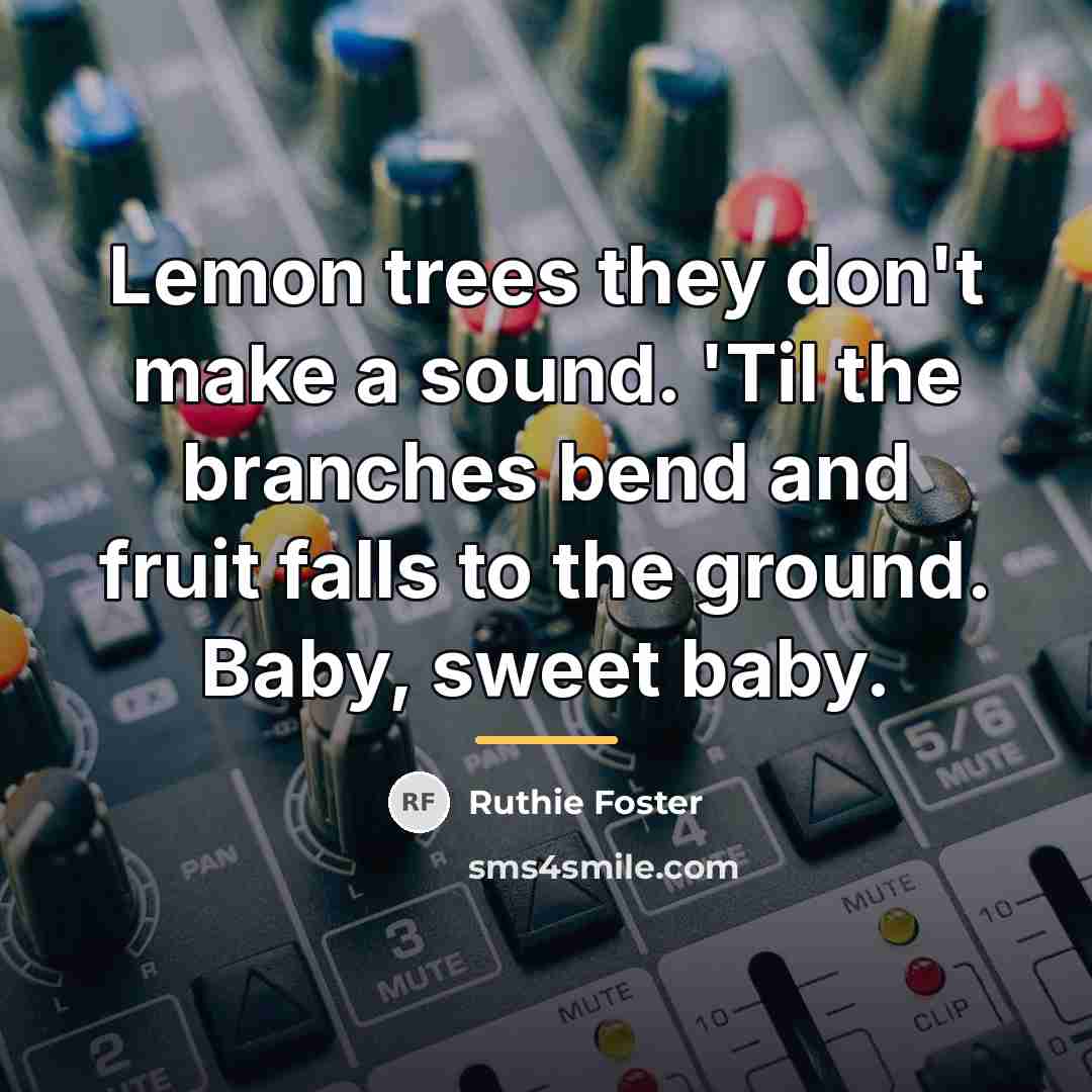 “Lemon trees they don't make a sound. 'Til the branches…” quote by Ruthie Foster