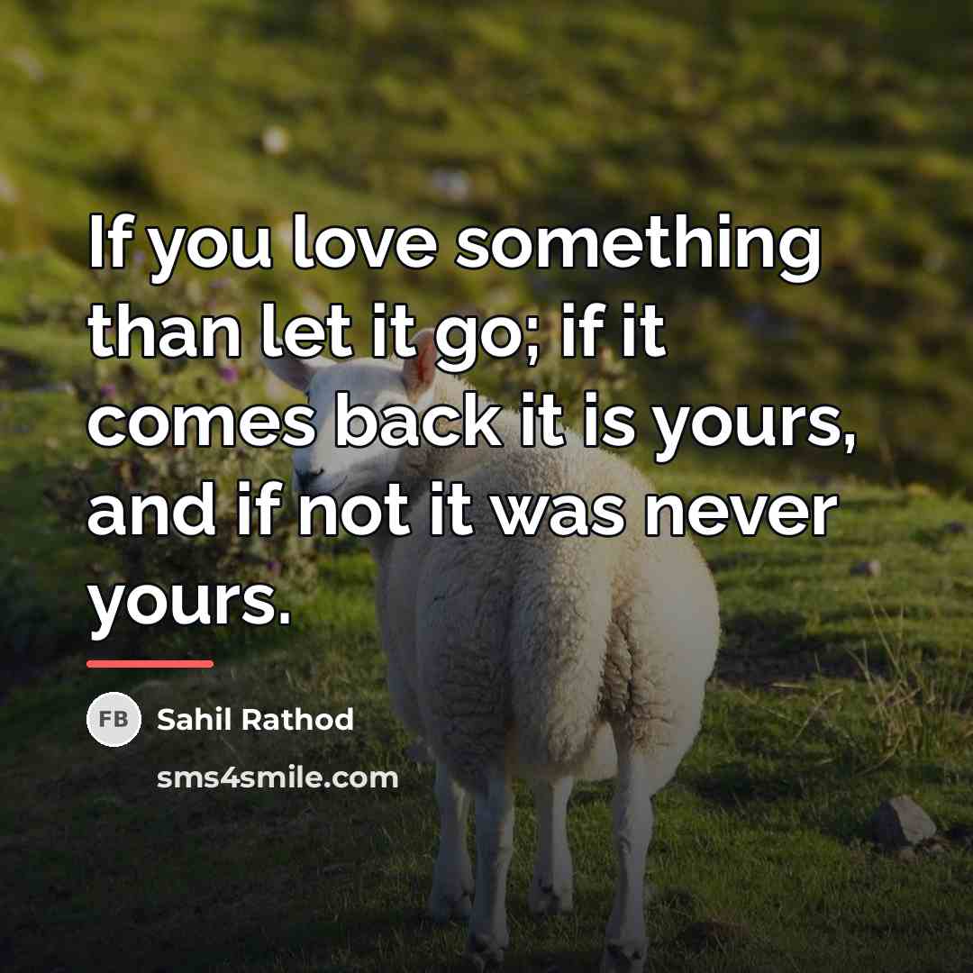 “If you love something than let it go; if it…” quote by Sahil Rathod