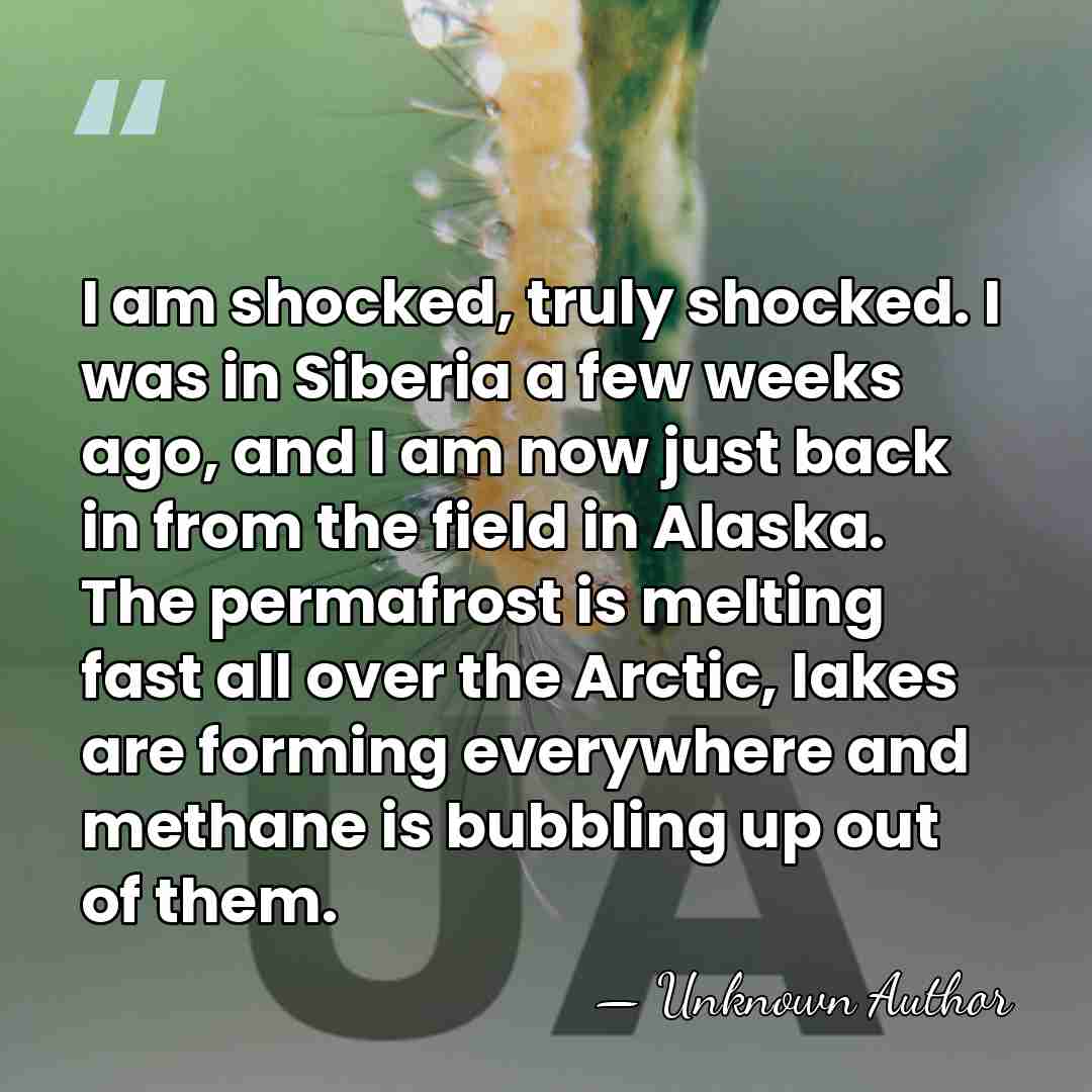 I am shocked, truly shocked. I was in Siberia a few weeks&hellip; - Unknown Author