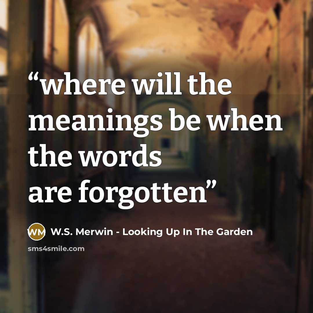 “where will the meanings be when the words are forgotten” quote by W.S. Merwin - Looking Up In The Garden