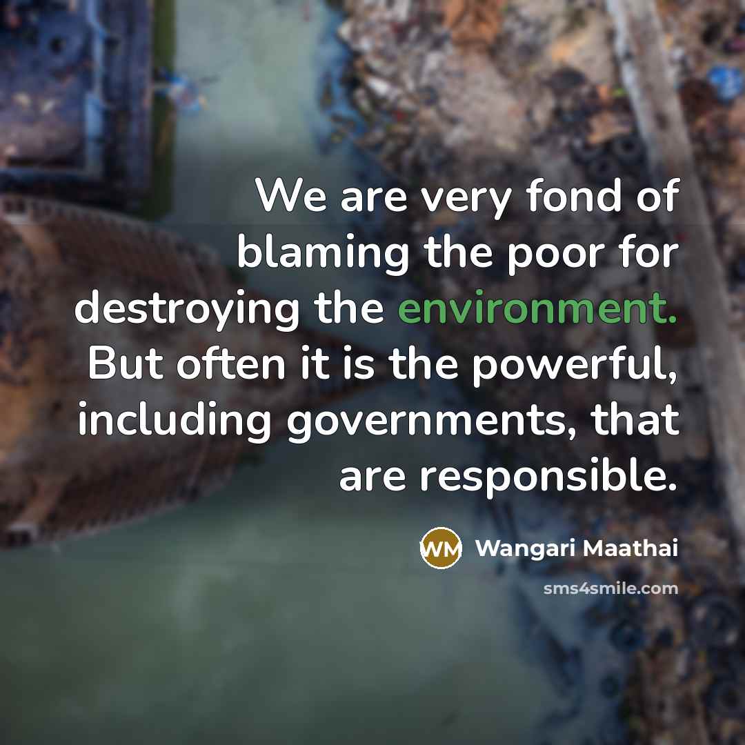 “We are very fond of blaming the poor for destroying…” quote by Wangari Maathai