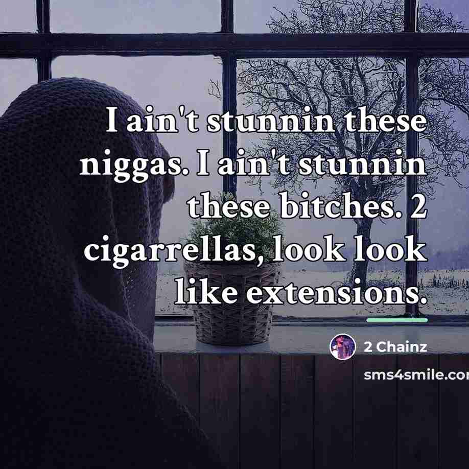 “I ain't stunnin these niggas. I ain't stunnin these bitches.…” quote by 2 Chainz