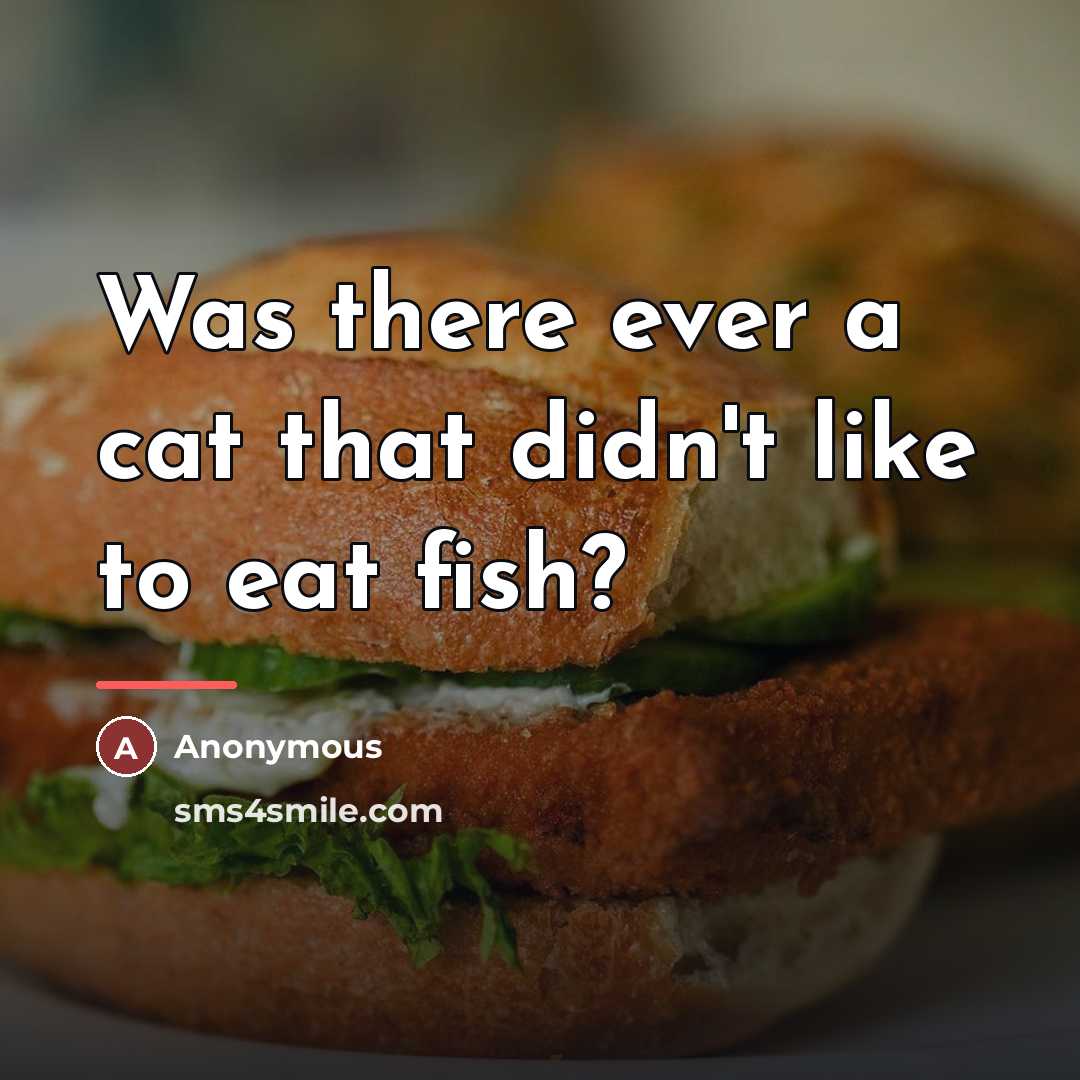 “Was there ever a cat that didn't like to eat…” quote by Anonymous