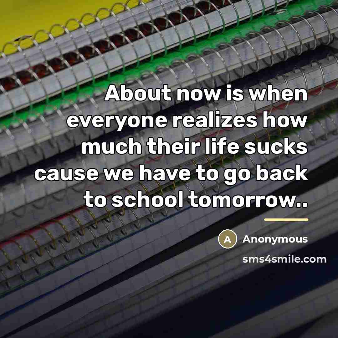 “About now is when everyone realizes how much their life…” quote by Anonymous