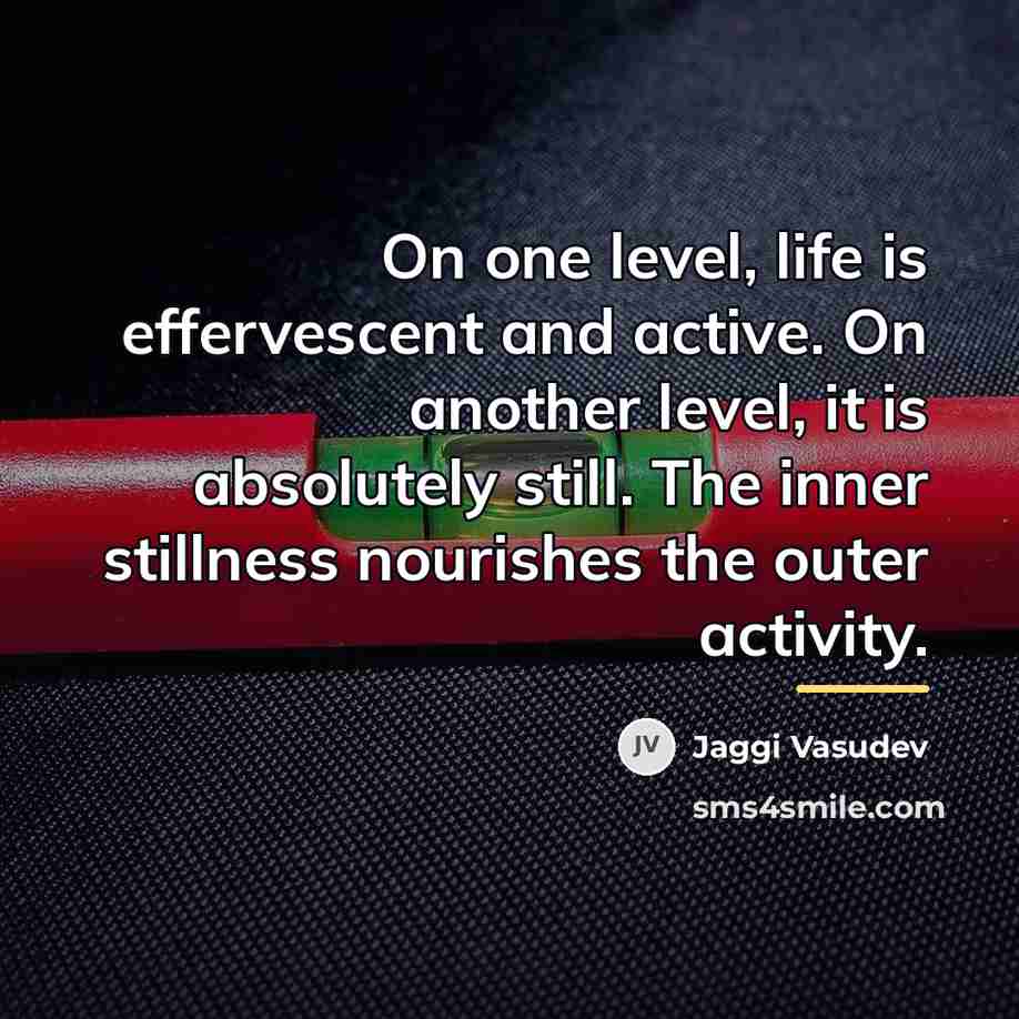 “On one level, life is effervescent and active. On another…” quote by Jaggi Vasudev