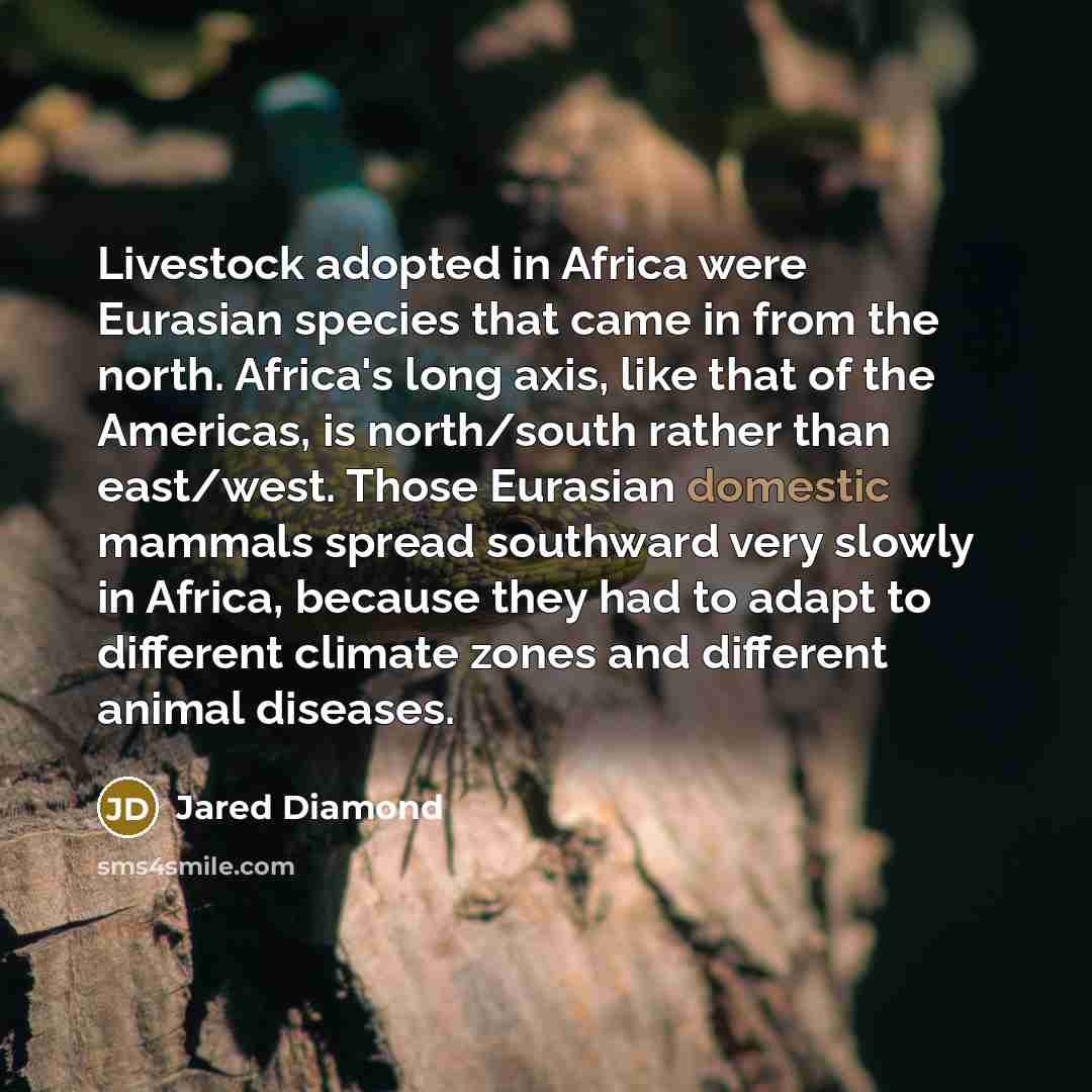 “Livestock adopted in Africa were Eurasian species that came in…” quote by Jared Diamond