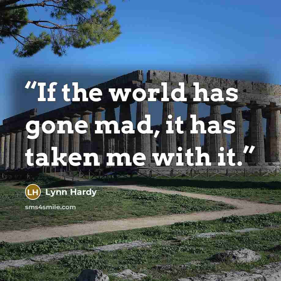 “If the world has gone mad, it has taken me with it.” quote by Lynn Hardy