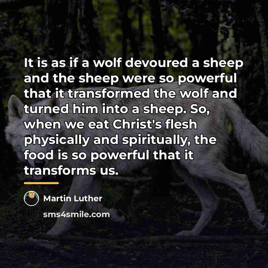 “It is as if a wolf devoured a sheep and…” quote by Martin Luther