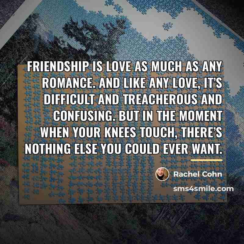 “Friendship is love as much as any romance. And like…” quote by Rachel Cohn