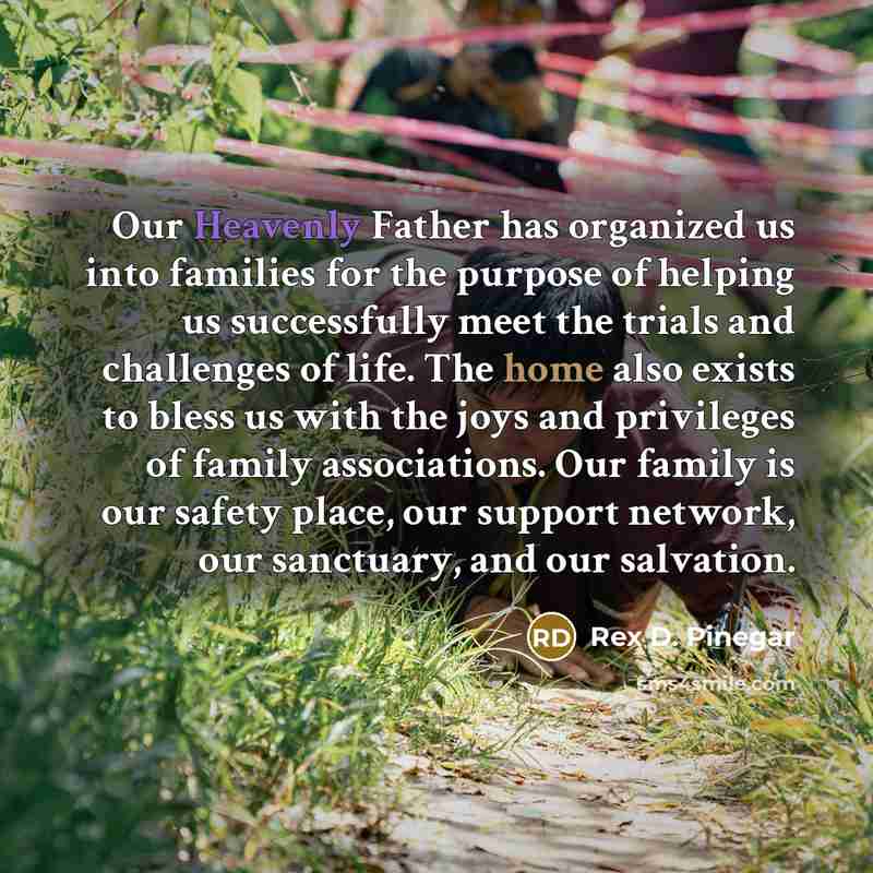 “Our Heavenly Father has organized us into families for the…” quote by Rex D. Pinegar