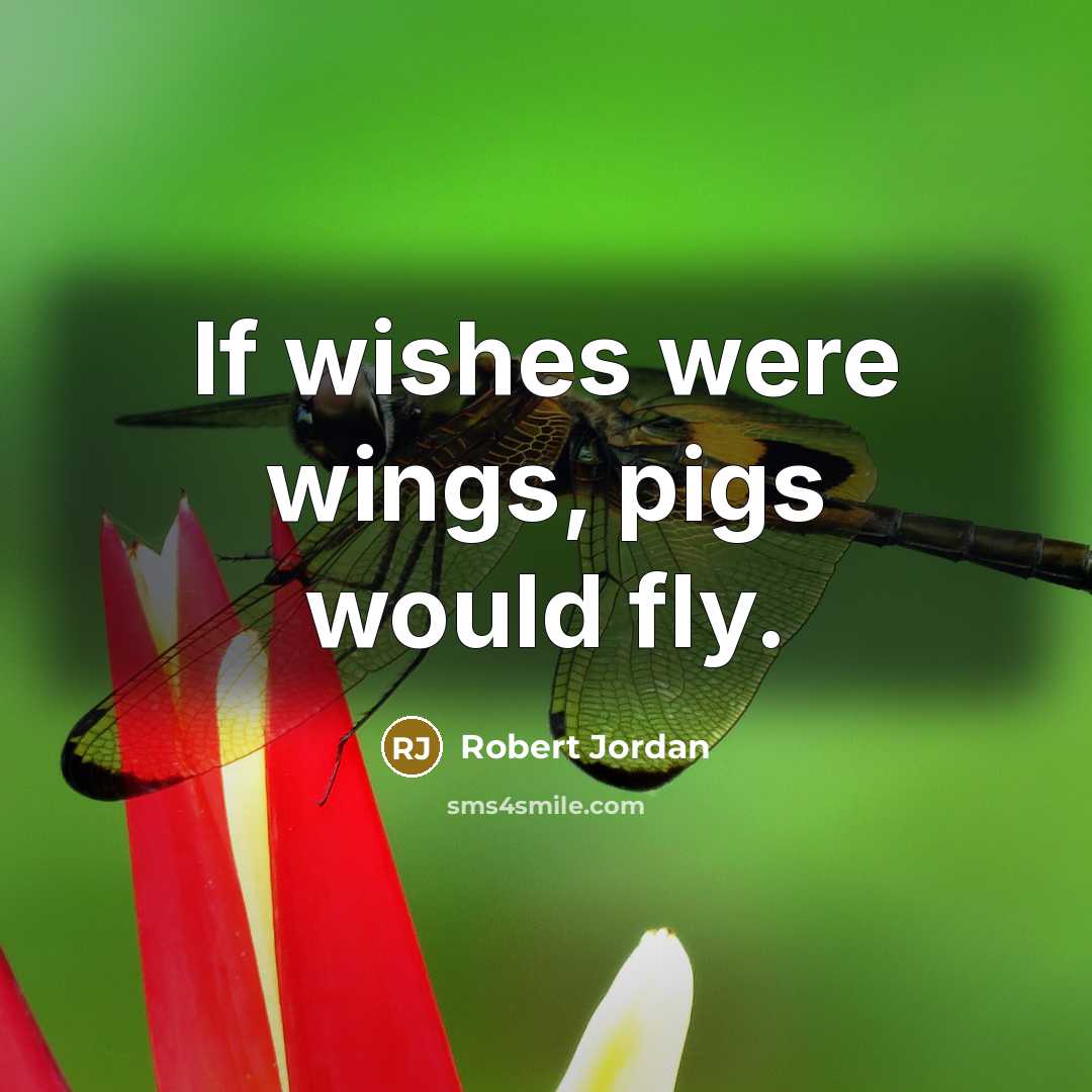 “If wishes were wings, pigs would fly.…” quote by Robert Jordan