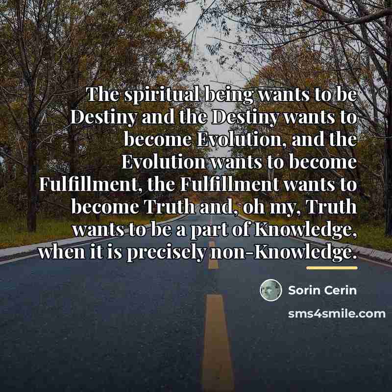 “The spiritual being wants to be Destiny and the Destiny…” quote by Sorin Cerin