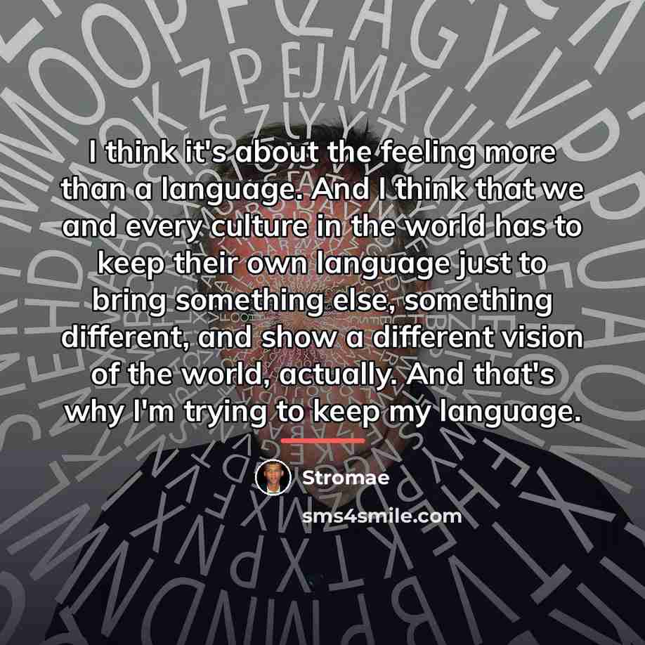 “I think it's about the feeling more than a language.…” quote by Stromae