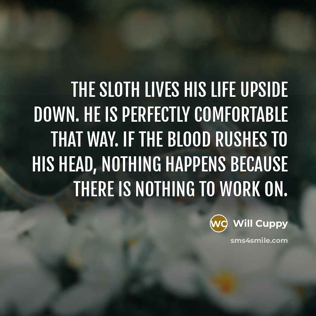 “The sloth lives his life upside down. He is perfectly…” quote by Will Cuppy